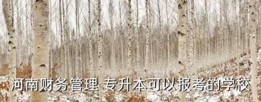 河南財務(wù)管理 專升本可以報考的學校