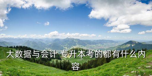 大數(shù)據(jù)與會計(jì) 專升本考的都有什么內(nèi)容