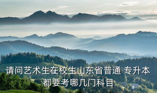 請(qǐng)問(wèn)藝術(shù)生在校生山東省普通 專升本都要考哪幾門科目