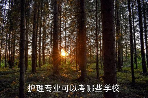 護理專業(yè)可以考哪些學校