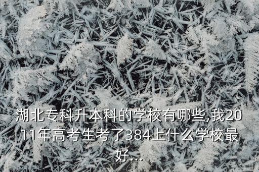 湖北專科升本科的學(xué)校有哪些,我2011年高考生考了384上什么學(xué)校最好...