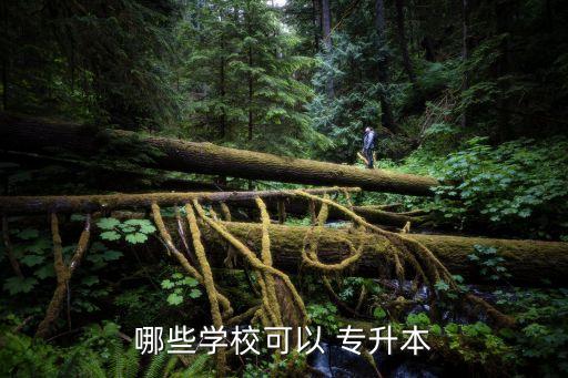 中國傳媒大學專升本考試時間
