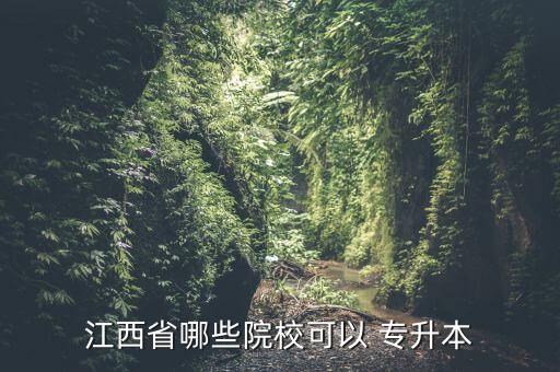 2017年專升本網(wǎng)絡(luò)學校,網(wǎng)絡(luò)與新媒體專升本有哪個學校