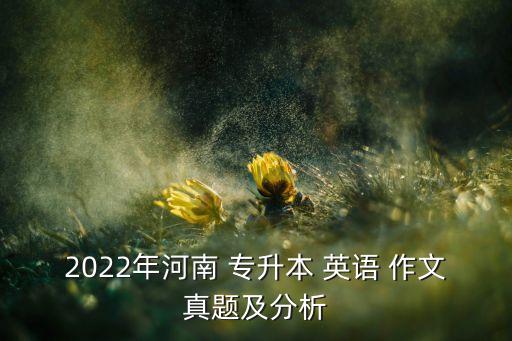 2022年河南 專升本 英語(yǔ) 作文真題及分析
