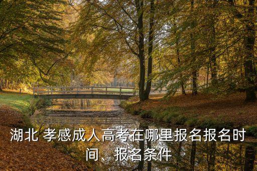 孝感專升本培訓機構,孝感英語培訓機構排名榜