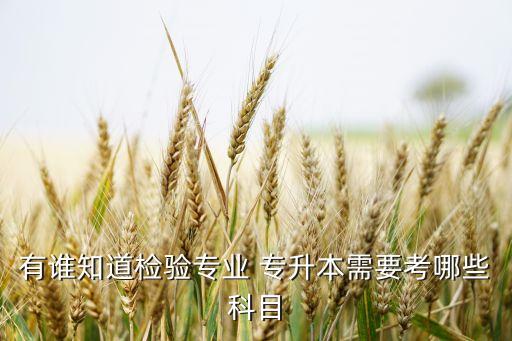 專(zhuān)升本微機(jī)