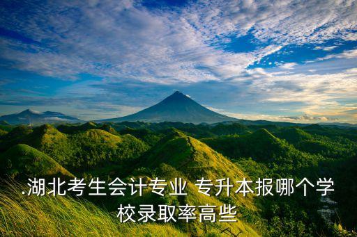 .湖北考生會計專業(yè) 專升本報哪個學校錄取率高些