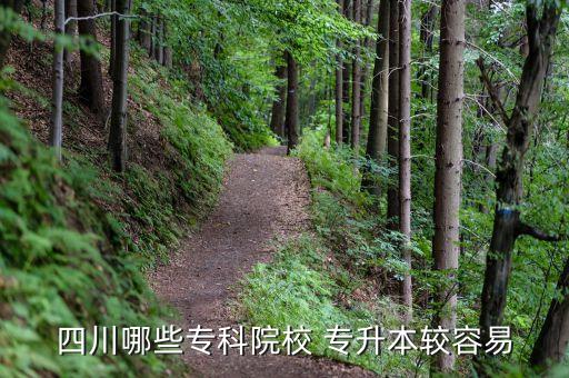 四川哪些?？圃盒?專升本較容易