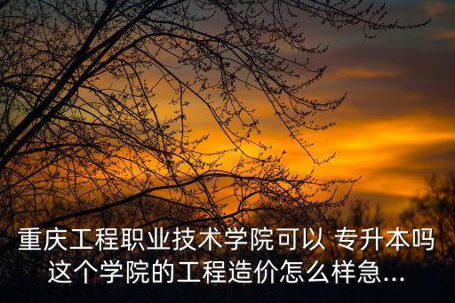 重慶工程職業(yè)技術(shù)學(xué)院可以 專(zhuān)升本嗎這個(gè)學(xué)院的工程造價(jià)怎么樣急...