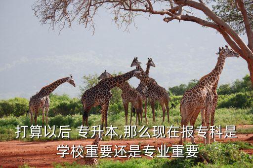 打算以后 專升本,那么現(xiàn)在報?？剖?學校重要還是專業(yè)重要