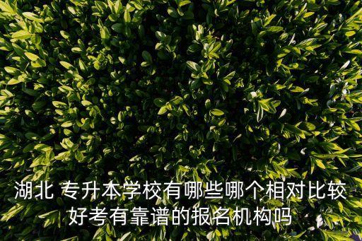湖北 專升本學(xué)校有哪些哪個(gè)相對(duì)比較好考有靠譜的報(bào)名機(jī)構(gòu)嗎