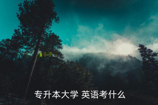  專(zhuān)升本大學(xué) 英語(yǔ)考什么