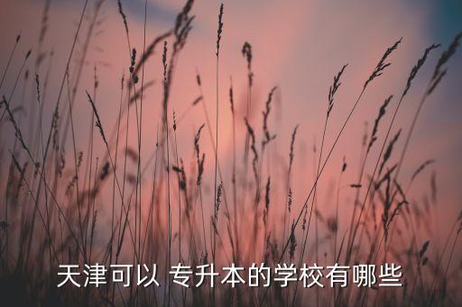 天津可以 專升本的學校有哪些