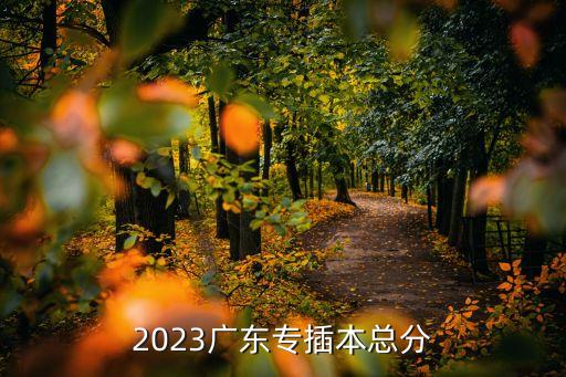 2023廣東專(zhuān)插本總分