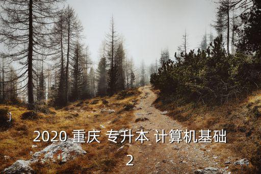 2020 重慶 專升本 計算機基礎2