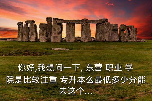 你好,我想問一下, 東營 職業(yè) 學(xué)院是比較注重 專升本么最低多少分能去這個...