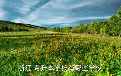 杭州有哪些大學(xué)可以專(zhuān)升本,杭州哪些大學(xué)有美術(shù)專(zhuān)業(yè)