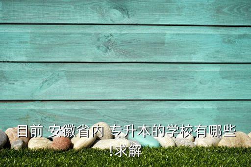 目前 安徽省內(nèi) 專(zhuān)升本的學(xué)校有哪些!求解