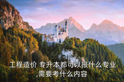  工程造價(jià) 專升本都可以報(bào)什么專業(yè),需要考什么內(nèi)容