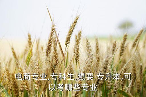 電商專業(yè),專科生,想要 專升本,可以考哪些專業(yè)