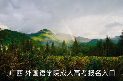  廣西 外國語學(xué)院成人高考報(bào)名入口
