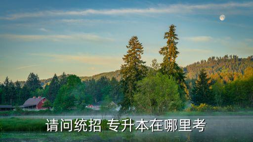 請(qǐng)問統(tǒng)招 專升本在哪里考