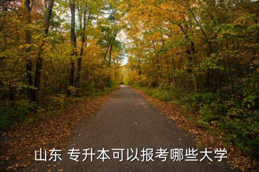  山東 專升本可以報(bào)考哪些大學(xué)