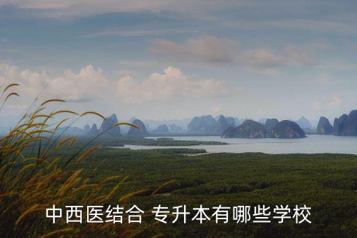 中西醫(yī)結(jié)合 專升本有哪些學校