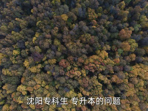 沈陽?？粕?專升本的問題