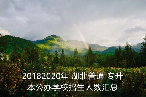 20182020年 湖北普通 專(zhuān)升本公辦學(xué)校招生人數(shù)匯總