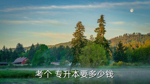 考個(gè) 專升本要多少錢