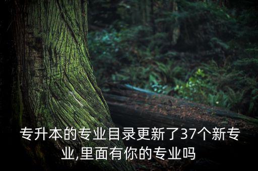  專升本的專業(yè)目錄更新了37個(gè)新專業(yè),里面有你的專業(yè)嗎