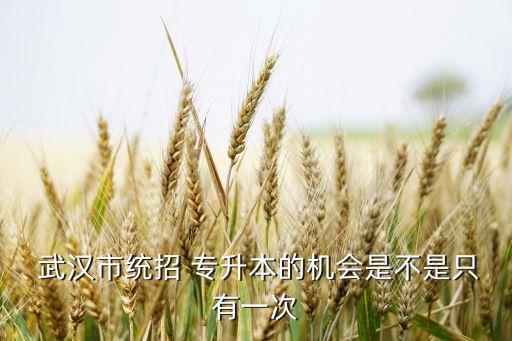  武漢市統(tǒng)招 專升本的機(jī)會(huì)是不是只有一次
