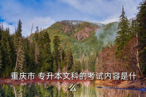  重慶市 專升本文科的考試內容是什么