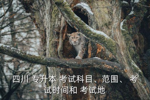 四川 專升本 考試科目、范圍、 考試時(shí)間和 考試地