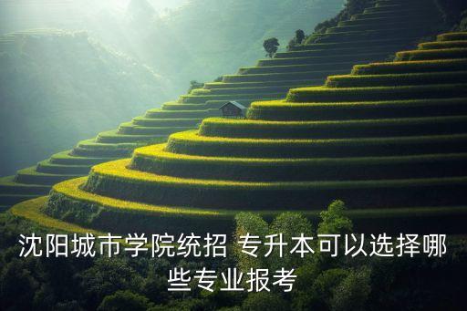 沈陽(yáng)城市學(xué)院統(tǒng)招 專升本可以選擇哪些專業(yè)報(bào)考