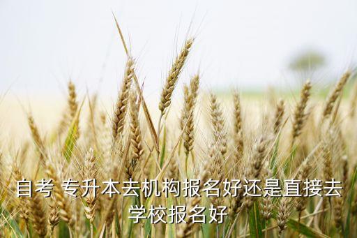 自考 專(zhuān)升本去機(jī)構(gòu)報(bào)名好還是直接去學(xué)校報(bào)名好