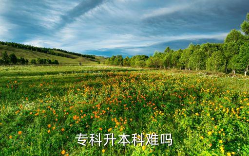 ?？粕究齐y嗎