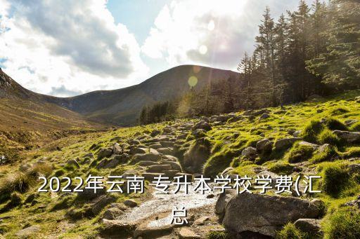 2022年云南 專(zhuān)升本學(xué)校學(xué)費(fèi)(匯總