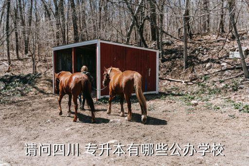 請(qǐng)問四川 專升本有哪些公辦學(xué)校