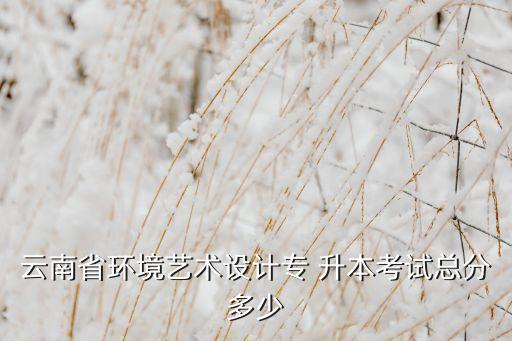 云南省環(huán)境藝術(shù)設(shè)計(jì)專(zhuān) 升本考試總分多少