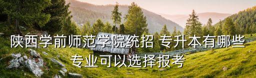 陜西學前師范學院統(tǒng)招 專升本有哪些專業(yè)可以選擇報考