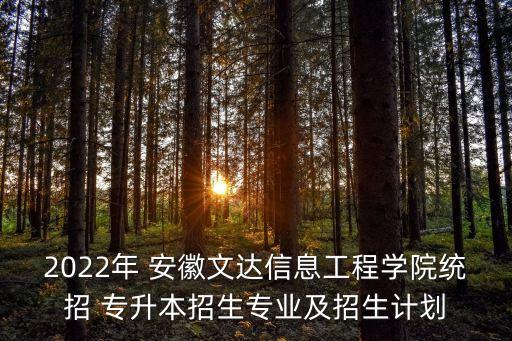 2022年 安徽文達(dá)信息工程學(xué)院統(tǒng)招 專升本招生專業(yè)及招生計劃