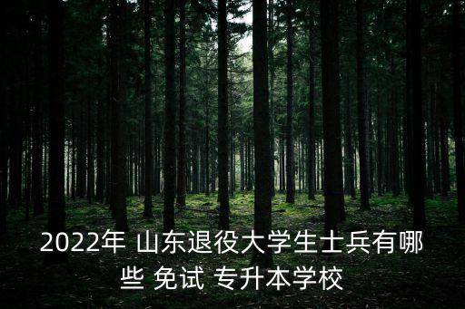 2022年 山東退役大學(xué)生士兵有哪些 免試 專升本學(xué)校