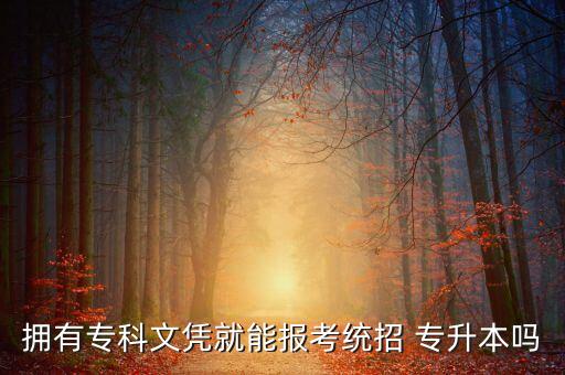 擁有?？莆膽{就能報考統(tǒng)招 專升本嗎