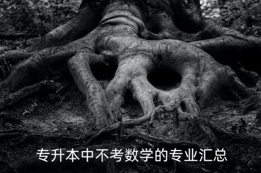  專升本中不考數(shù)學的專業(yè)匯總