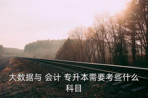 大數(shù)據(jù)與 會(huì)計(jì) 專升本需要考些什么科目
