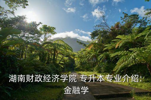 湖南財政經(jīng)濟(jì)學(xué)院 專升本專業(yè)介紹: 金融學(xué)