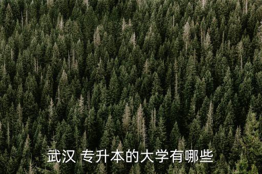 武漢 專升本的大學有哪些
