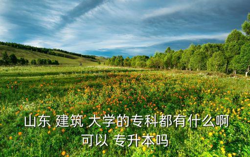 山東 建筑 大學(xué)的?？贫加惺裁窗】梢?專升本嗎